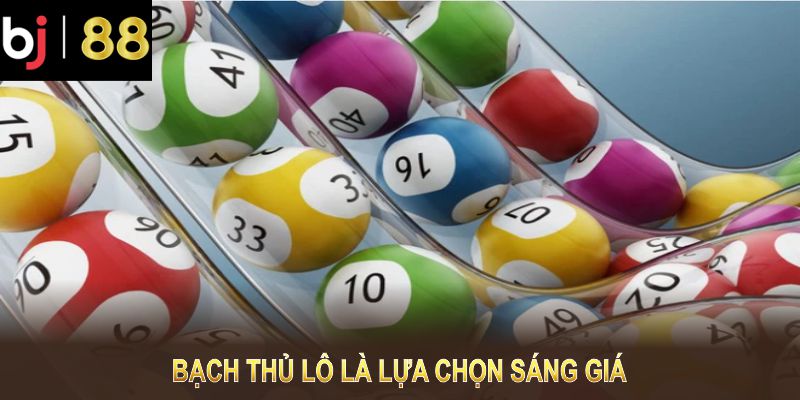 Bạch thủ lô là lựa chọn sáng giá với nhiều điểm hấp dẫn vượt trội