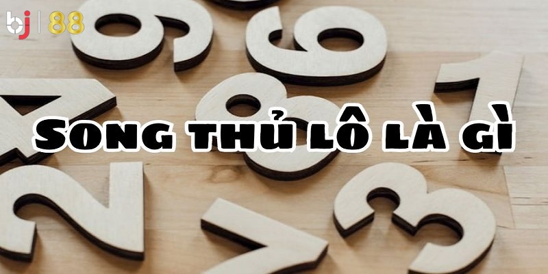 Hiểu về lô song thủ