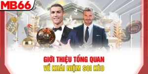 Hướng Dẫn Soi Kèo Bóng Đá Chuẩn Xác Nhất Năm 2025 Hiện Nay